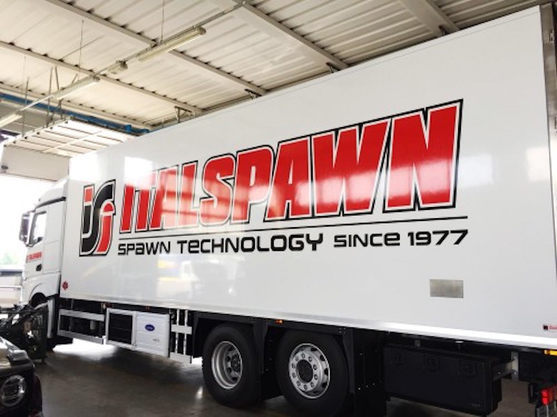 Italspawn